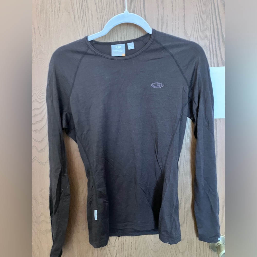 Icebreaker Bodyfit 200 Gray long sleeve crew neck merino wool shirt sz L